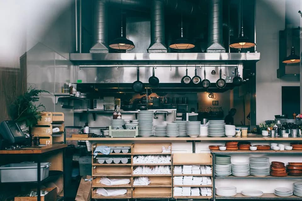 Cuisine professionnelle en inox : plans de travail et recoins chauds, terrain typique des blattes