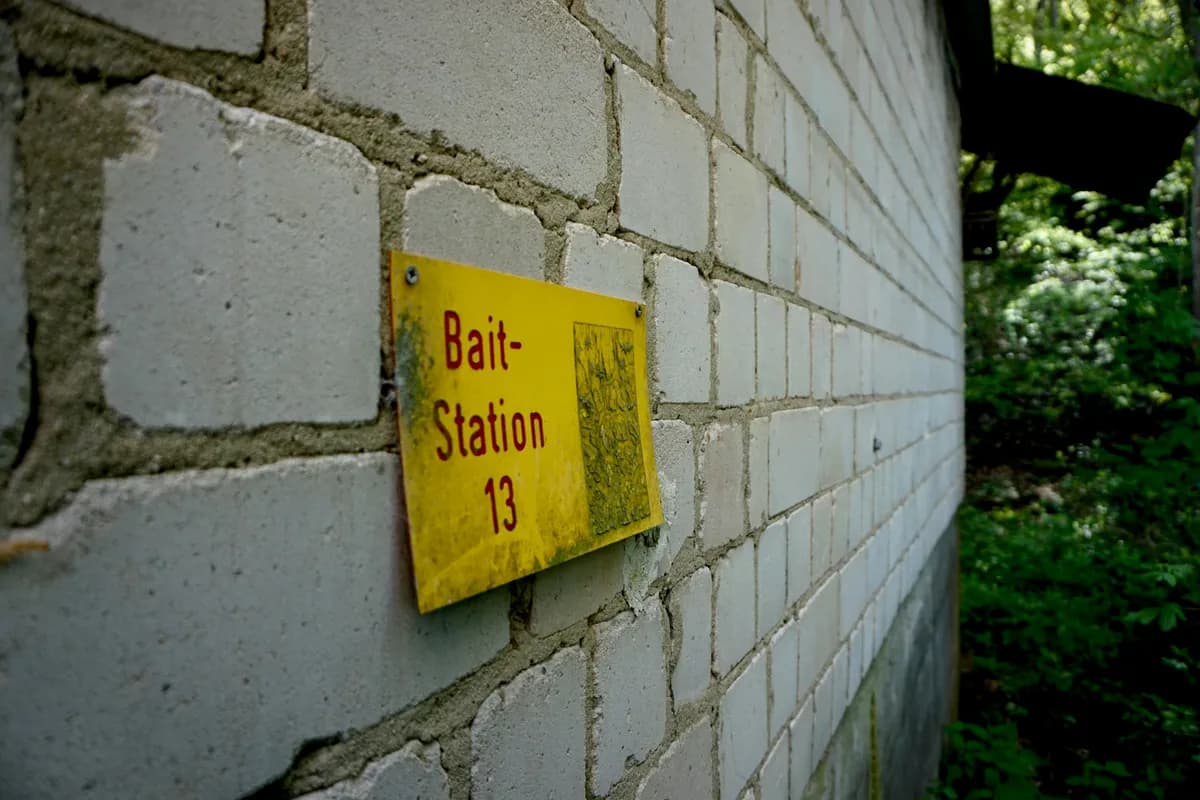 Poste d’appâtage sécurisé installé le long d’un mur